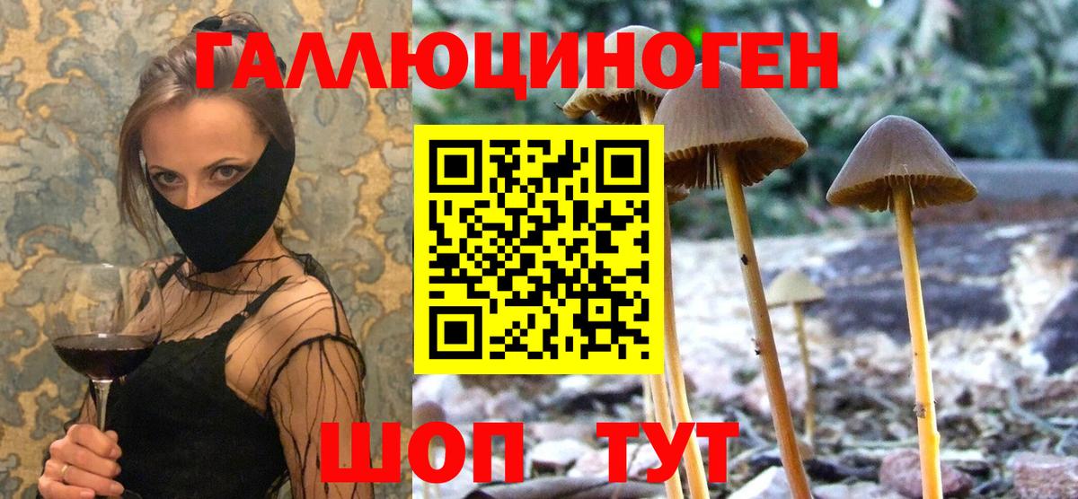 Галлюциногенные грибы GOLDEN TEACHER  Вход с VPN  Псилоцибиновые грибы Cubensis  Киров 