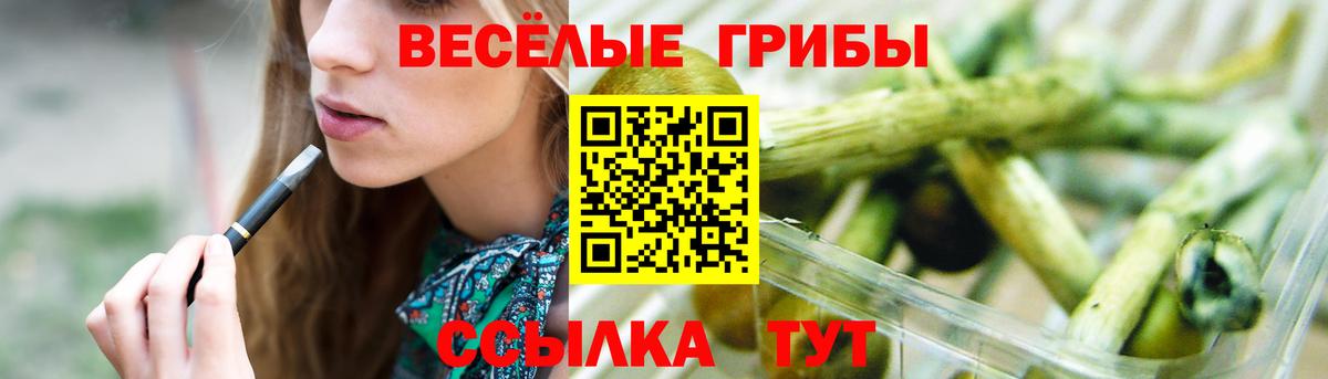 Галлюциногенные грибы Cubensis Киров