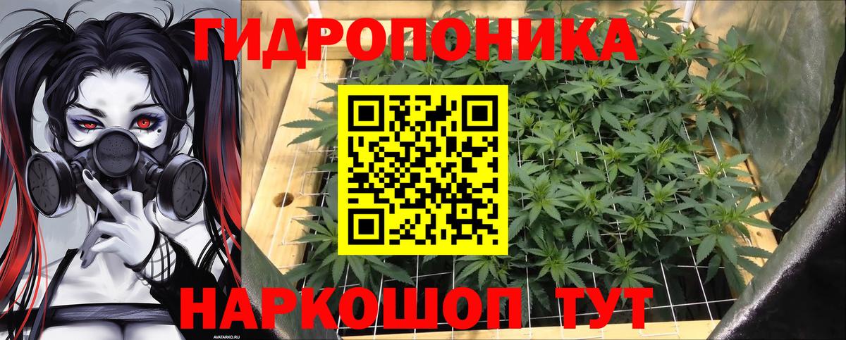 Канабис VHQ Киров